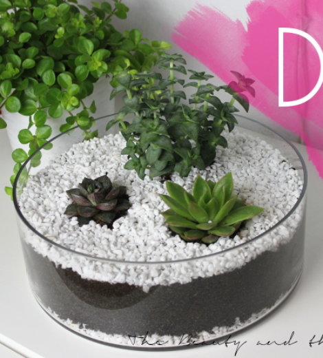 DIY Sukkulenten Terrarium