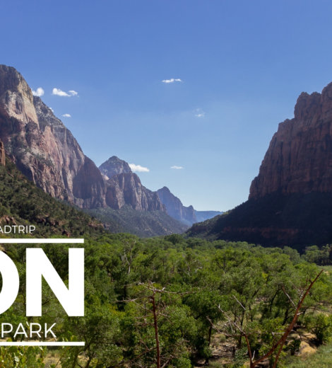 Westcoast Roadtrip </br> Zion National Park