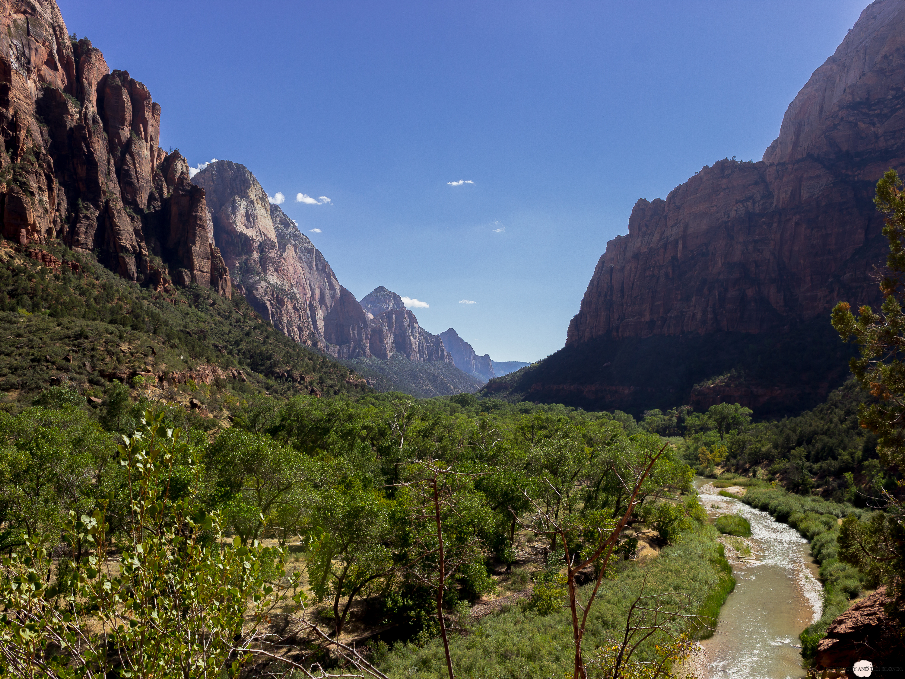 Zion National Park Utah USA Roadtrip Hike