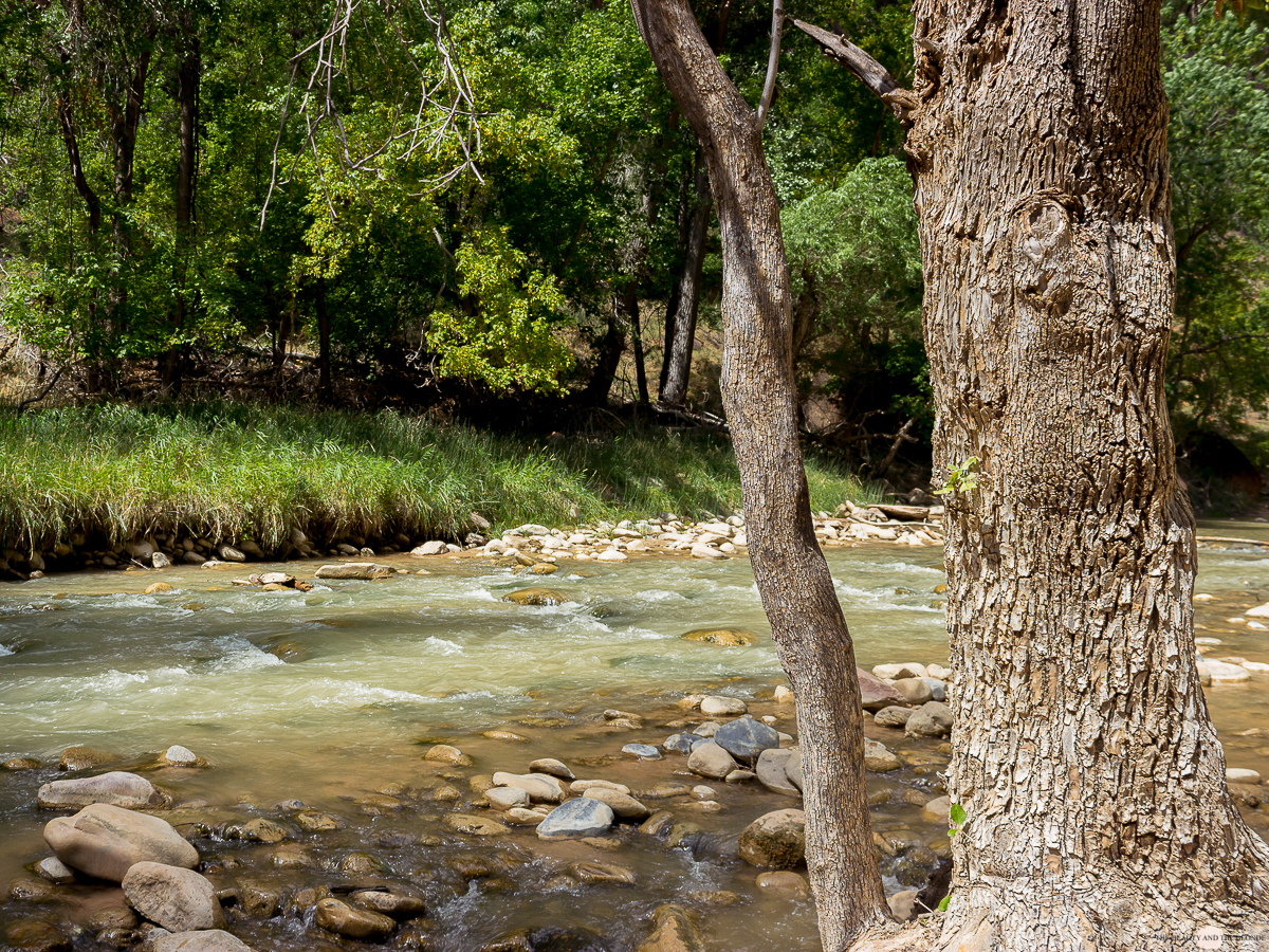 Zion National Park Utah Roadtrip Virgin River Hike Wanderung