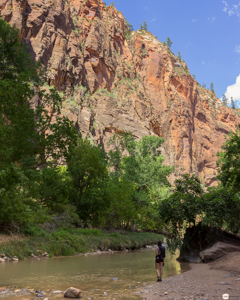 Zion National Park Utah Roadtrip USA Virgin River Hike Travel Diary