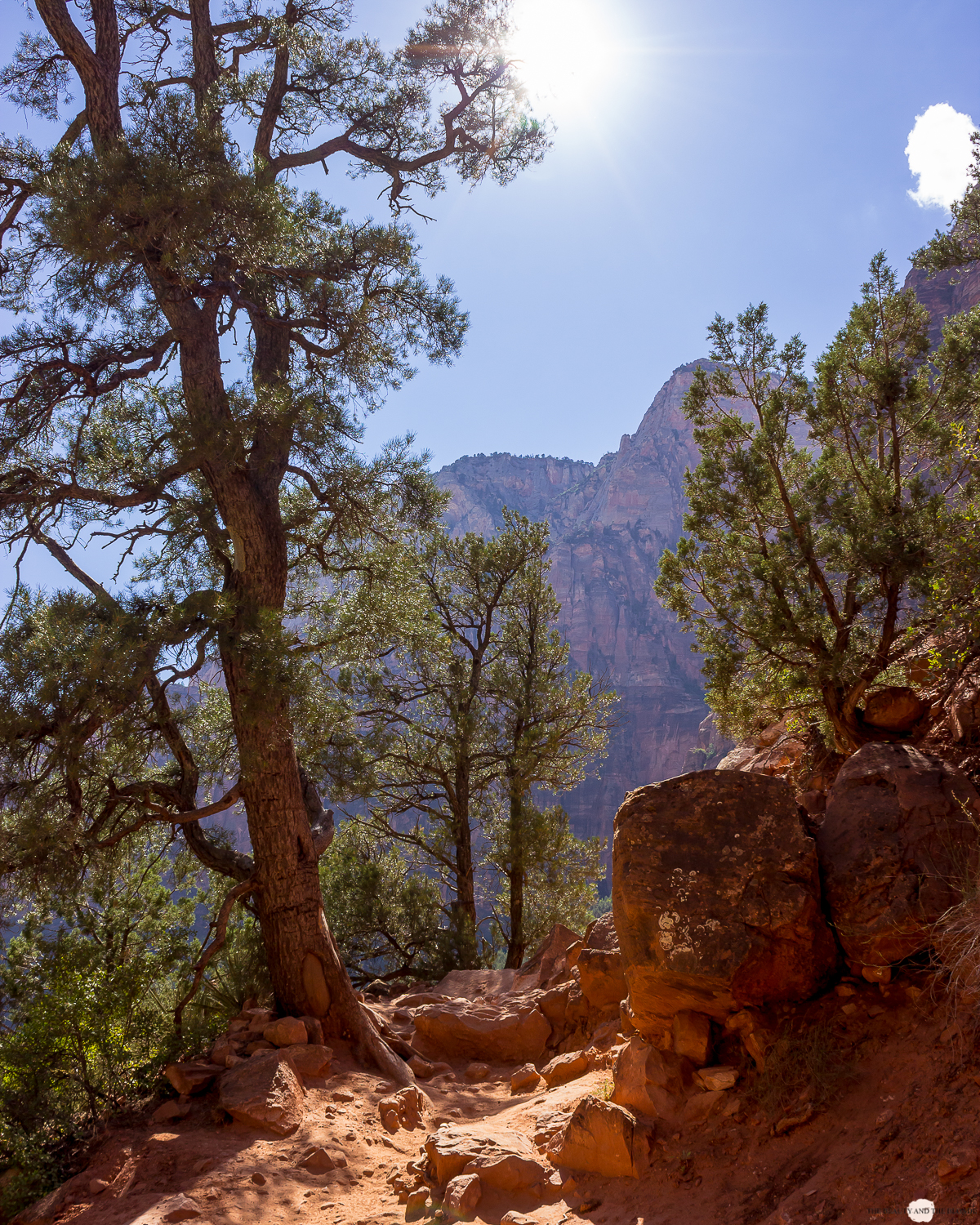 Zion National Park Utah USA Roadtrip Kayenta Trail