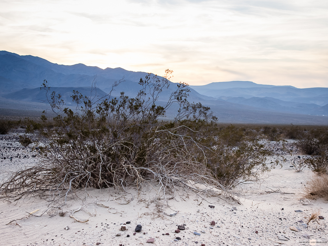 Death Valley Westcoast USA Roadtrip Travel Diary