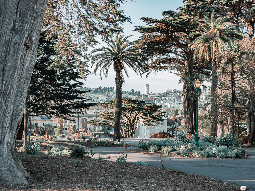 San Francisco Alamo Park