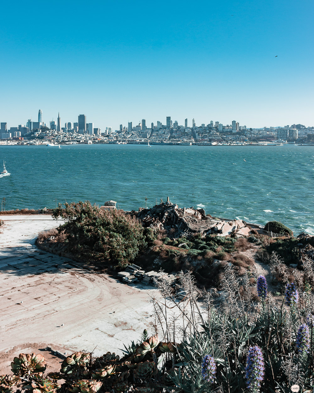 Alcatraz San Francisco Gefängnis Insel 