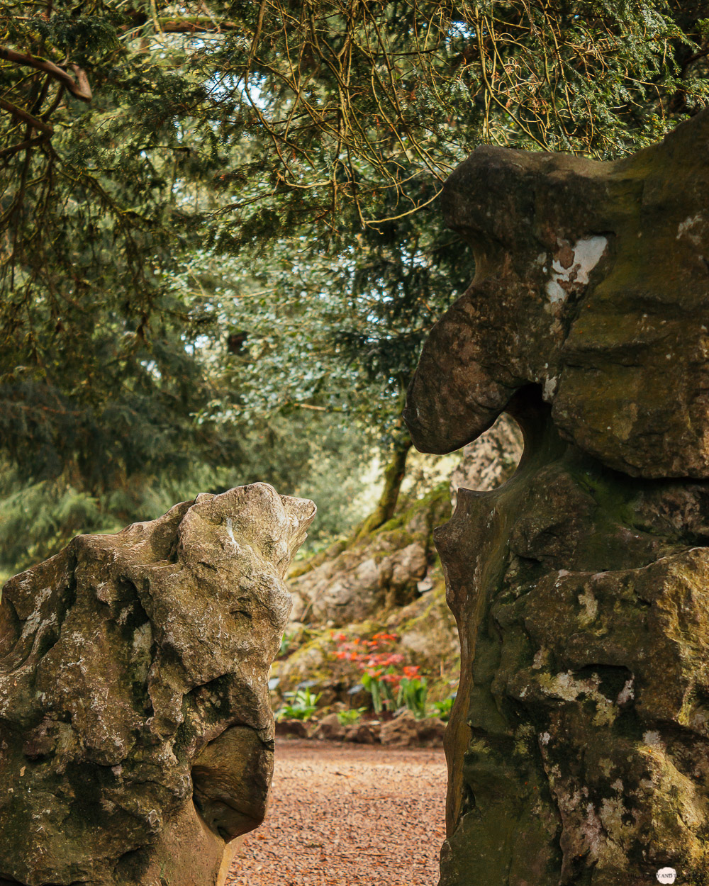 Roadtrip Irland Blarny Castle Rock Close Witch Stone