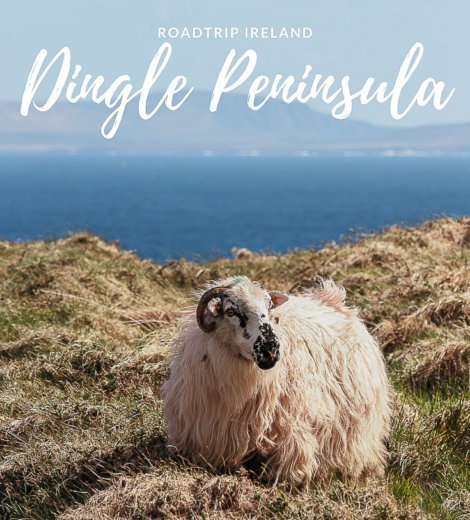 Irland Roadtrip </br> Dingle Peninsula