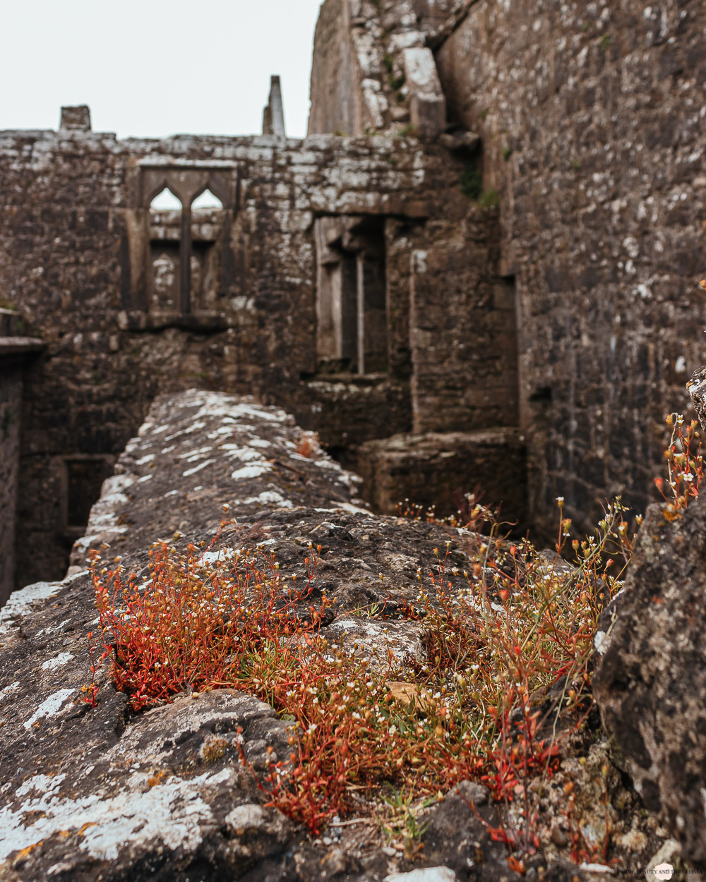 Irland Ross Errilly Friary