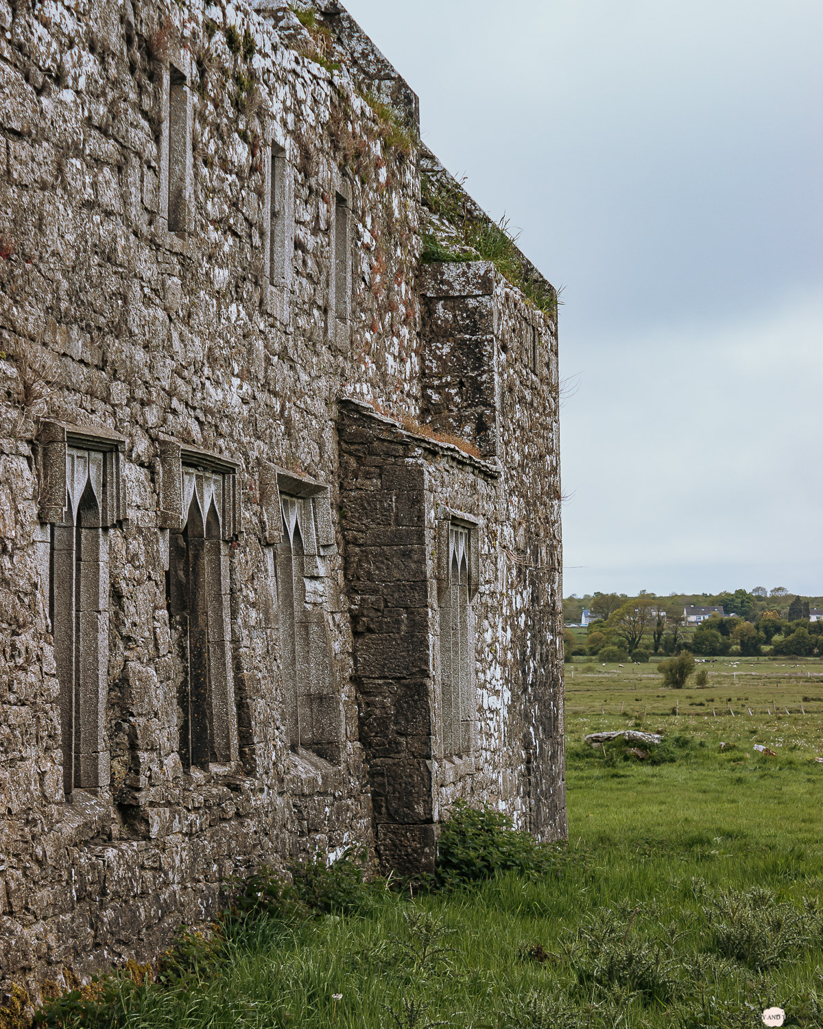 Irland Ross Errilly Friary 
