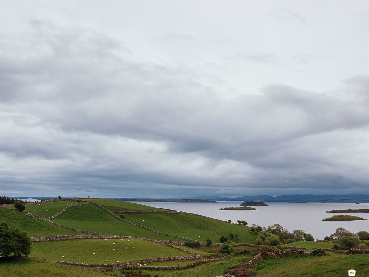 Ross Errilly Friary Aussicht Irland