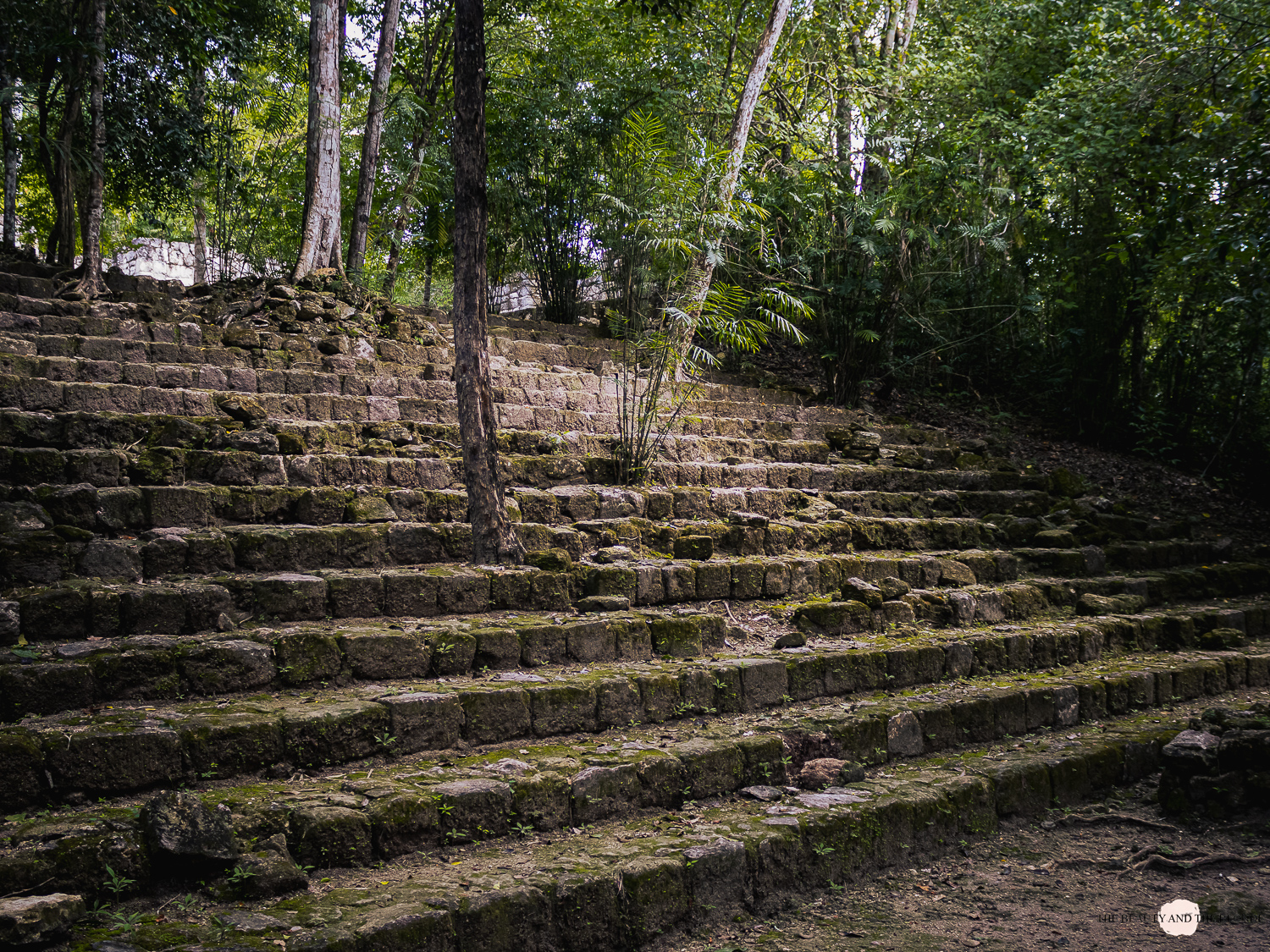 Maya Ruine Calakmul in Mexiko